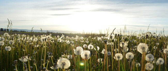 loi sapin 2 assurance credit