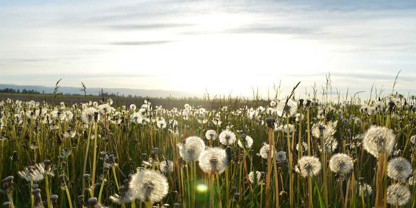 loi sapin 2 assurance credit