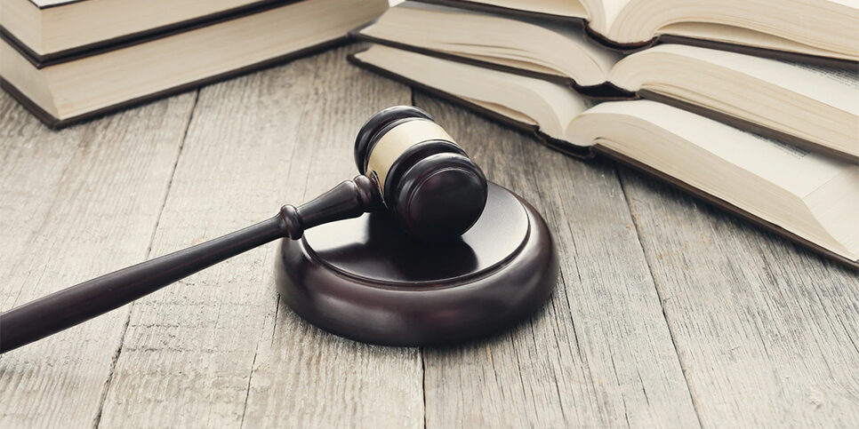 loi-lemoine-2022 loi lemoine